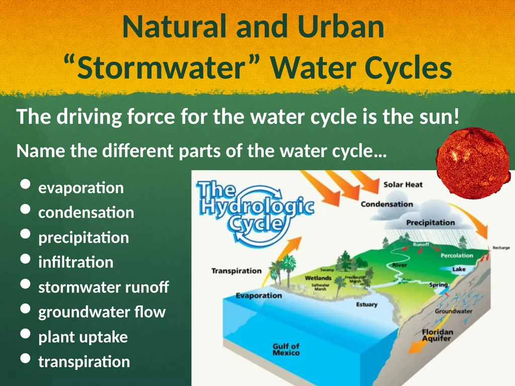 Natural and Urban “Stormwater” Water Cycles Our - slide 6 of 19