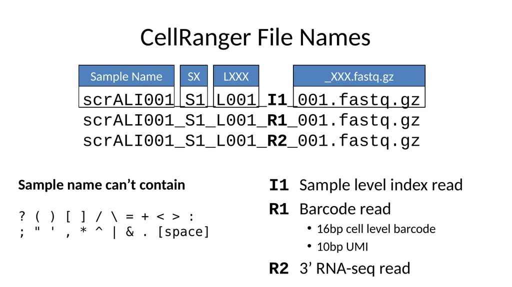 Analysing 10X Single Cell RNA-Seq Data v2026-02 - slide 13 of 33