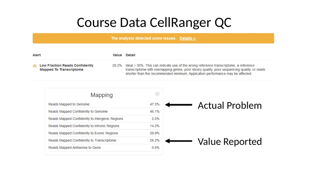 Analysing 10X Single Cell RNA-Seq Data v2026-02 - slide 31 of 33
