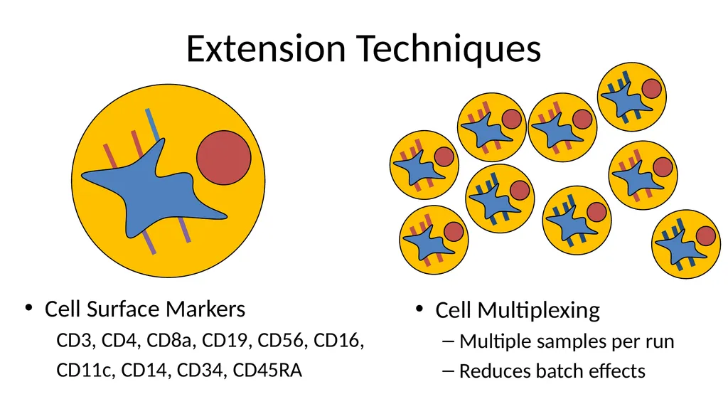 Analysing 10X Single Cell RNA-Seq Data v2026-02 - slide 8 of 33