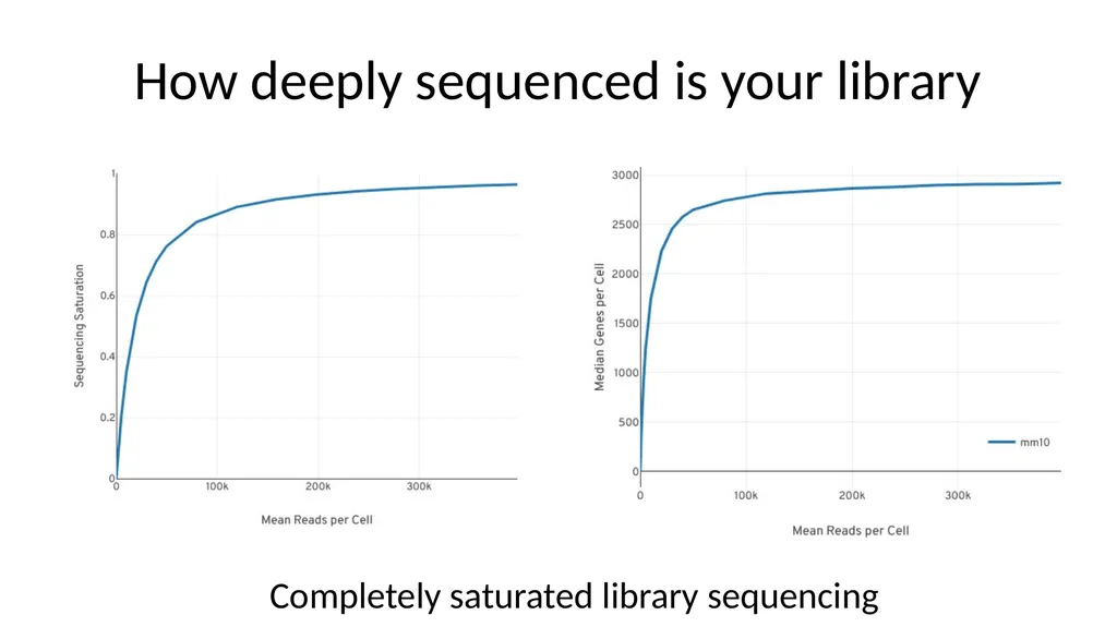 Analysing 10X Single Cell RNA-Seq Data v2026-02 - slide 26 of 33