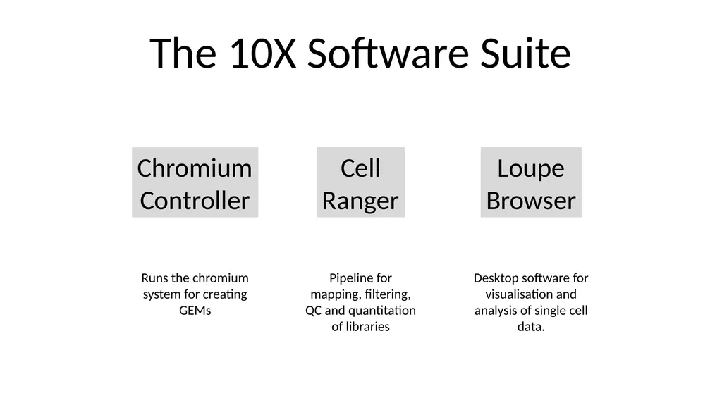 Analysing 10X Single Cell RNA-Seq Data v2026-02 - slide 10 of 33
