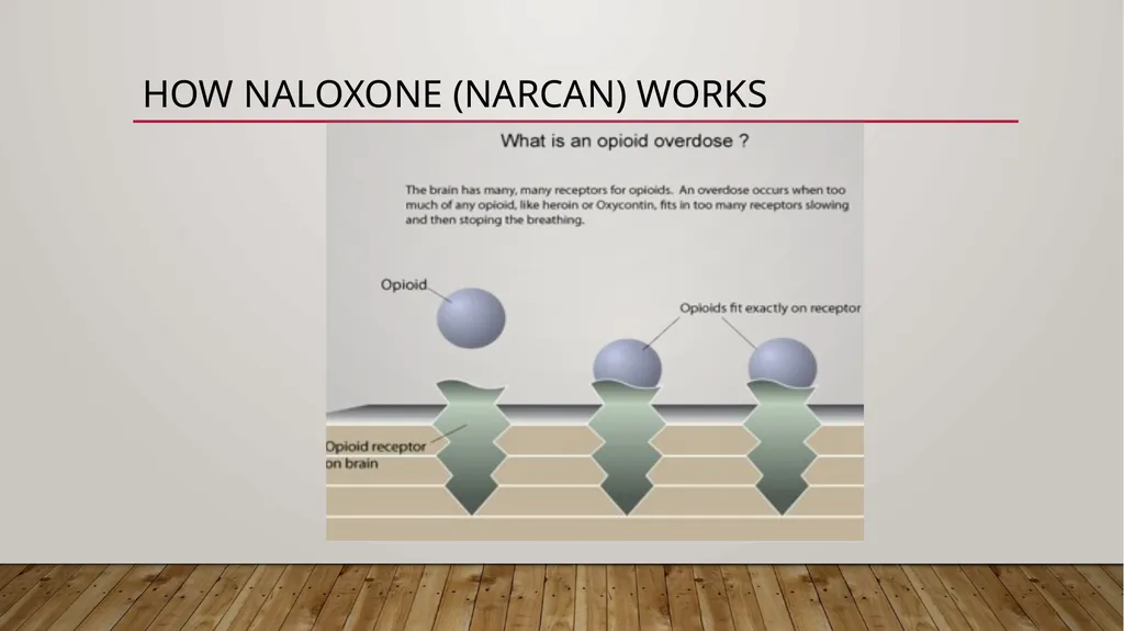 Naloxone (NaRCAN) Access training Learning - slide 15 of 49
