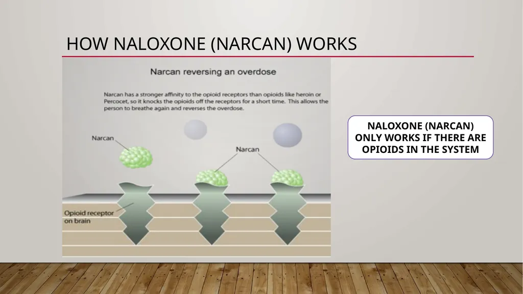 Naloxone (NaRCAN) Access training Learning - slide 16 of 49