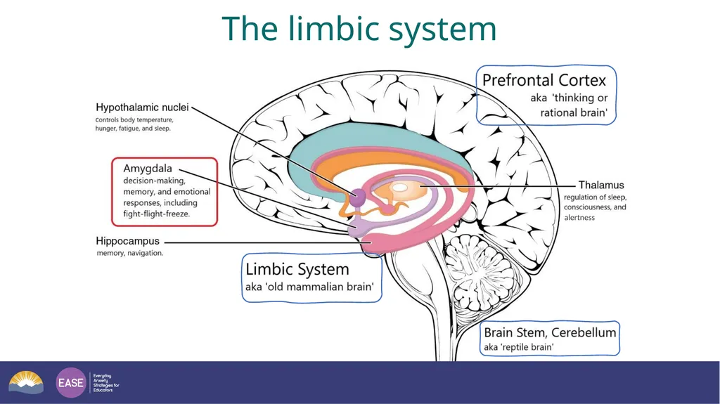 The Science of What is the difference between fear - slide 5 of 12