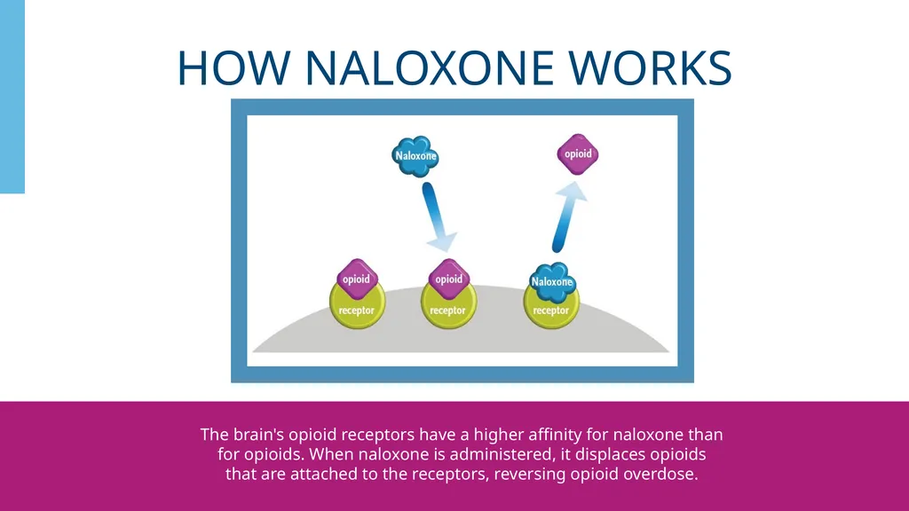 Naloxone Get Ready. Get Trained. Save Lives. - slide 14 of 30