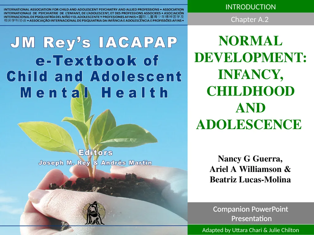 DEPRESSION IN CHILDREN AND ADOLESCENTS - slide 1 of 33