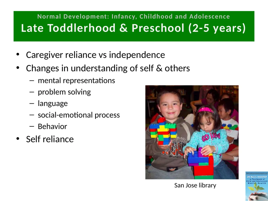 DEPRESSION IN CHILDREN AND ADOLESCENTS - slide 21 of 33