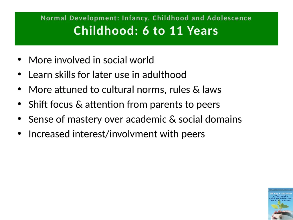 DEPRESSION IN CHILDREN AND ADOLESCENTS - slide 24 of 33
