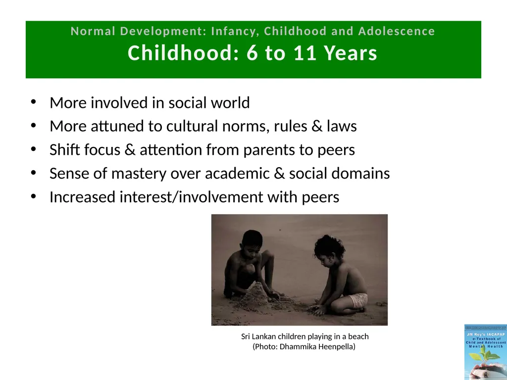 DEPRESSION IN CHILDREN AND ADOLESCENTS - slide 26 of 33