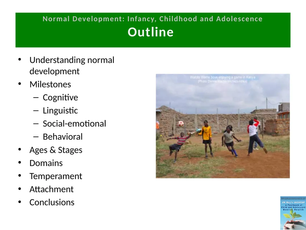 DEPRESSION IN CHILDREN AND ADOLESCENTS - slide 3 of 33