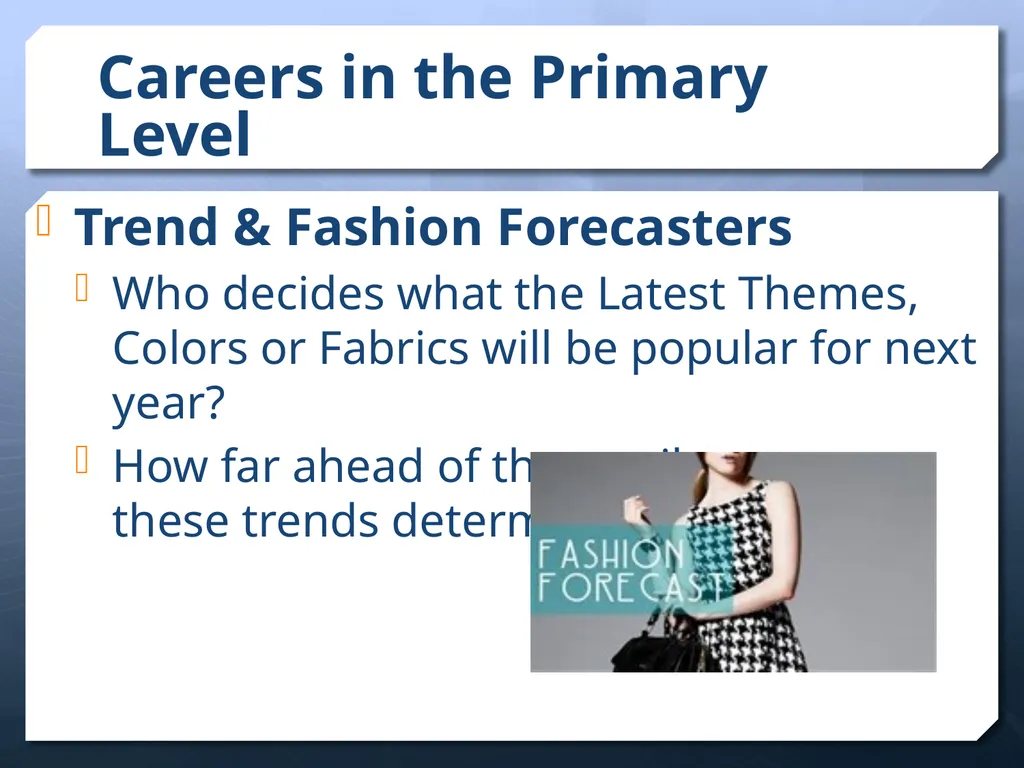 Careers In the Apparel & Fashion Industry - slide 3 of 21
