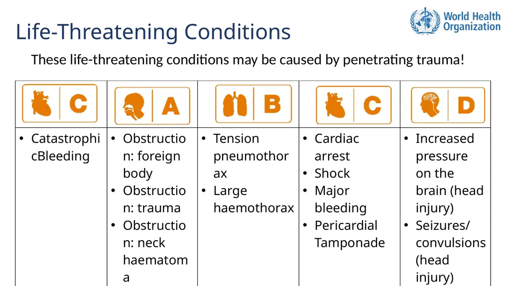 Basic Emergency Care Approach to the acutely ill - slide 4 of 19