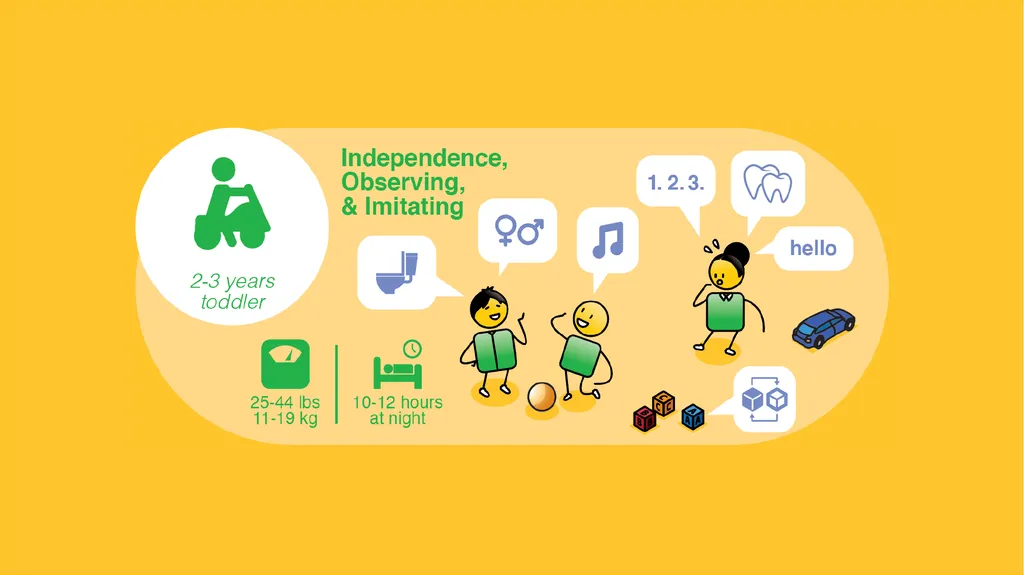 Understanding the rights and needs of children - slide 25 of 50
