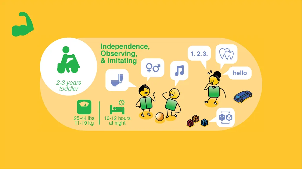Understanding the rights and needs of children - slide 26 of 50