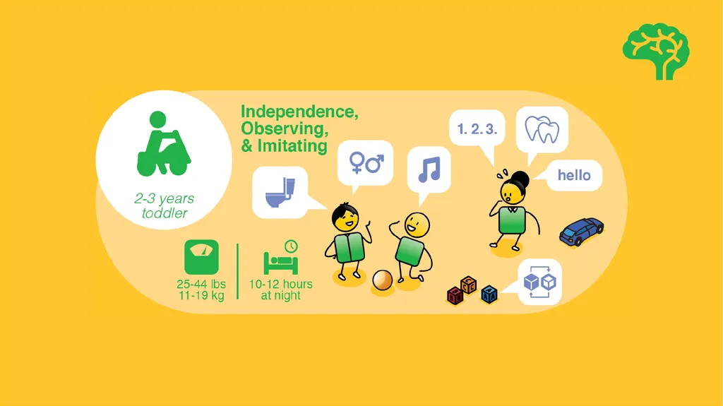 Understanding the rights and needs of children - slide 27 of 50
