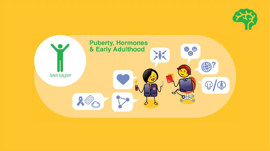 Understanding the rights and needs of children - slide 47 of 50