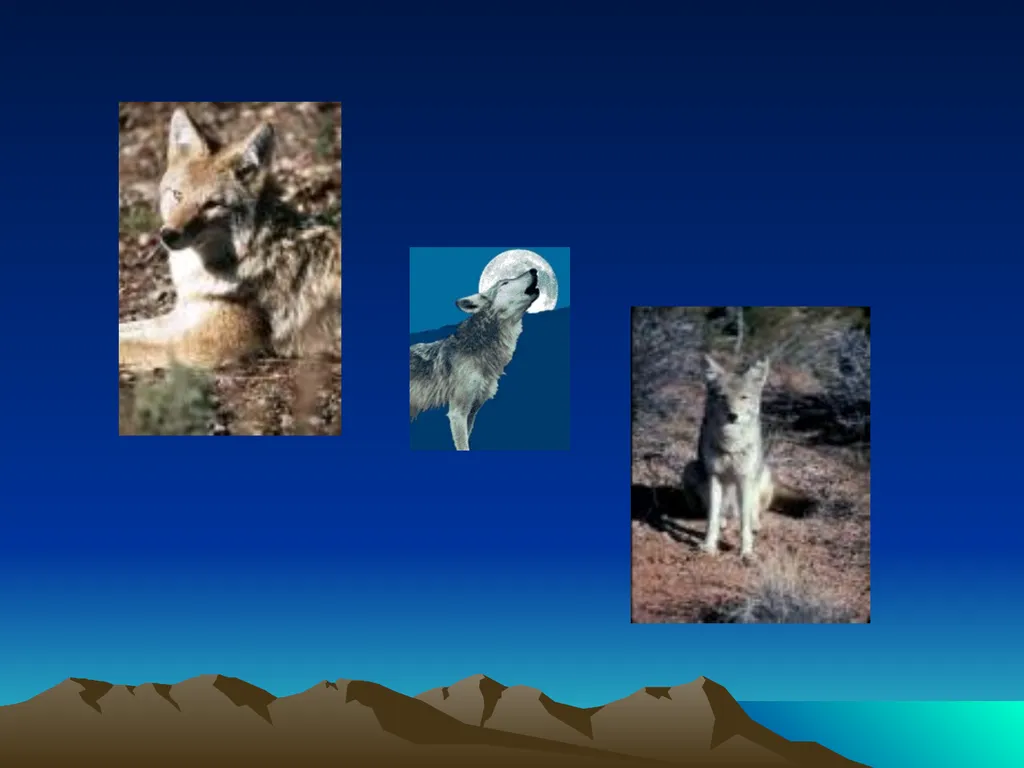 Native American Literature Oral Tradition Creation - slide 7 of 18