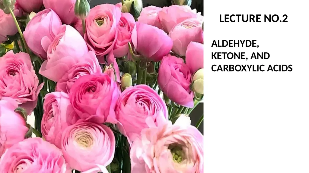 Lecture No.2 Lecture No.2 Aldehyde, Ketone, and - slide 2 of 18
