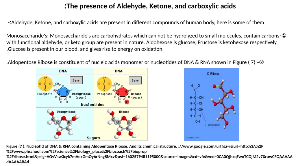 Lecture No.2 Lecture No.2 Aldehyde, Ketone, and - slide 11 of 18
