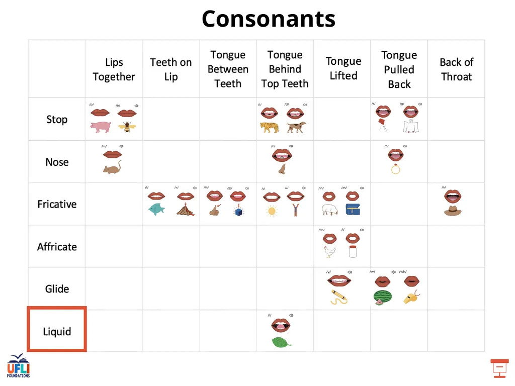 Getting Ready Lesson E Consonants Consonants - slide 16 of 35