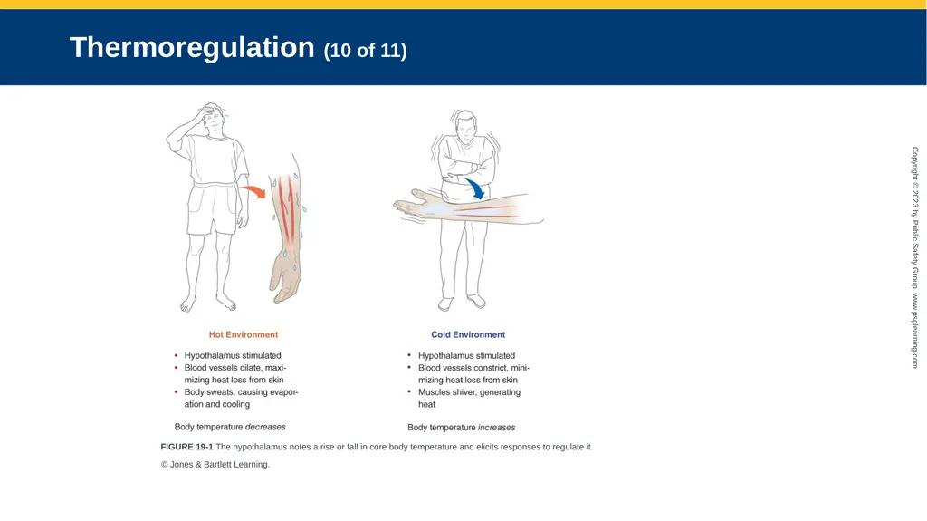 CHAPTER 19 Environmental Emergencies Introduction - slide 13 of 72