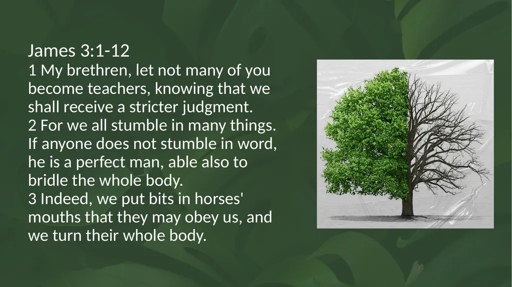 Proverbs 12:18 There is one who speaks like the - slide 7 of 14