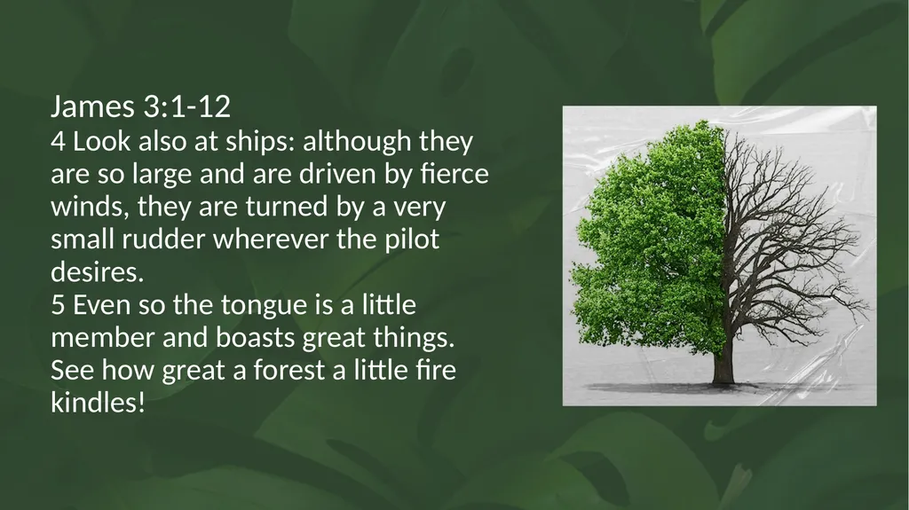 Proverbs 12:18 There is one who speaks like the - slide 8 of 14