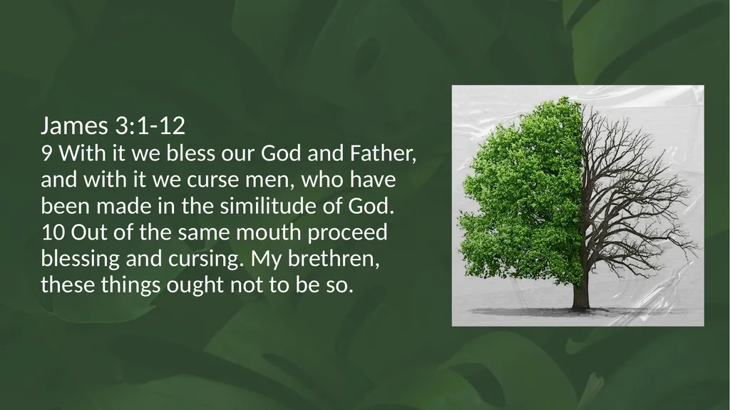 Proverbs 12:18 There is one who speaks like the - slide 10 of 14