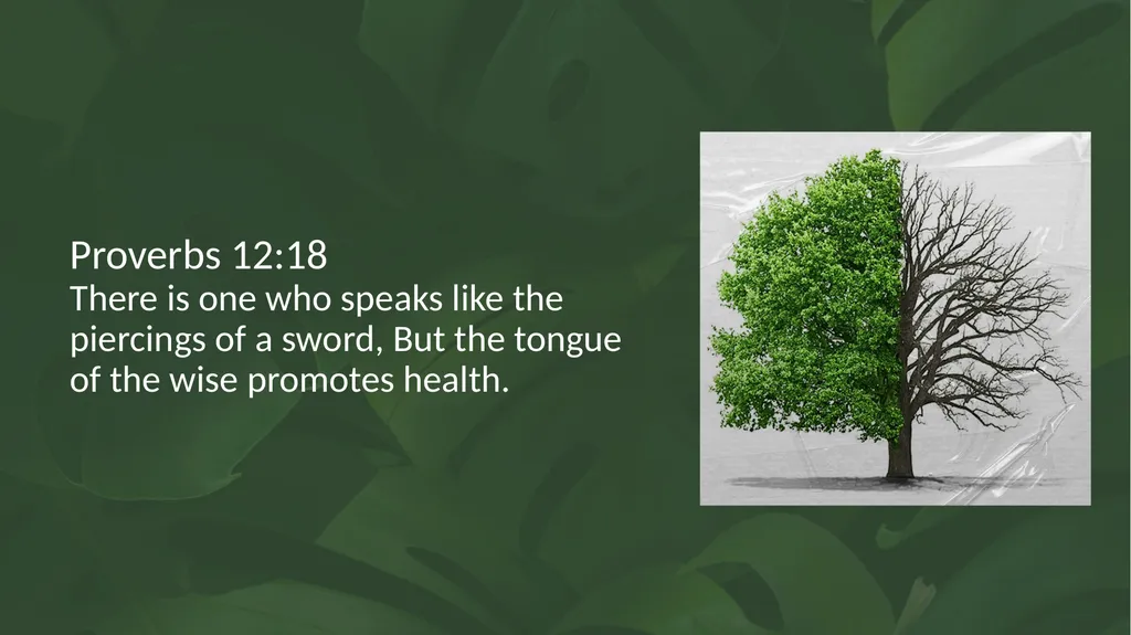 Proverbs 12:18 There is one who speaks like the - slide 2 of 14