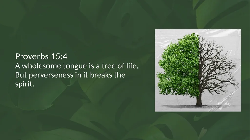 Proverbs 12:18 There is one who speaks like the - slide 3 of 14