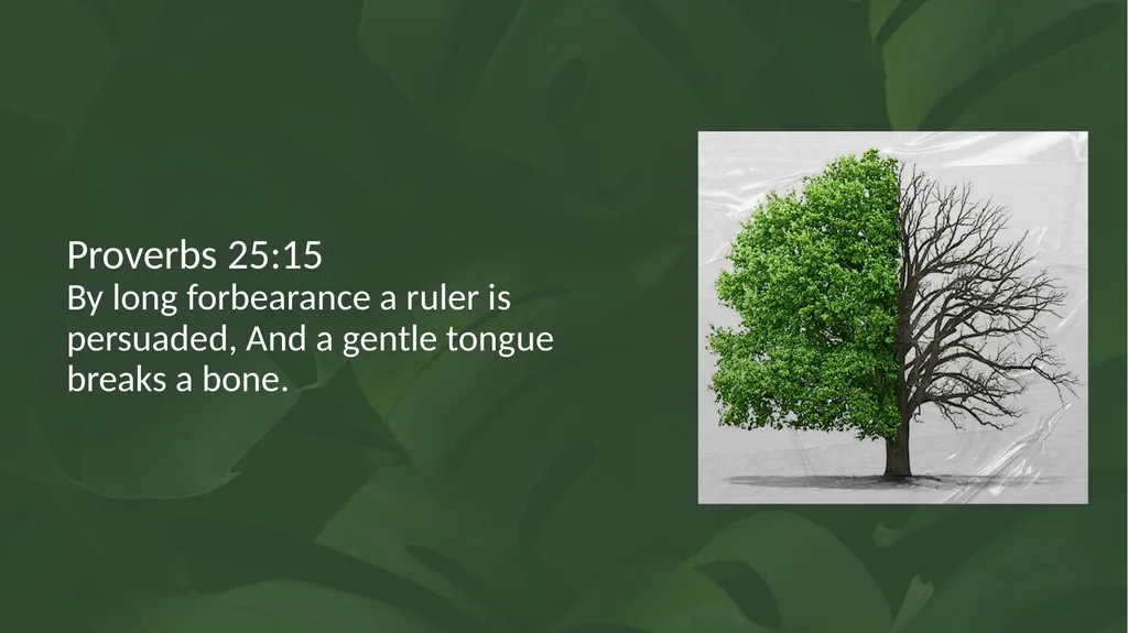 Proverbs 12:18 There is one who speaks like the - slide 6 of 14