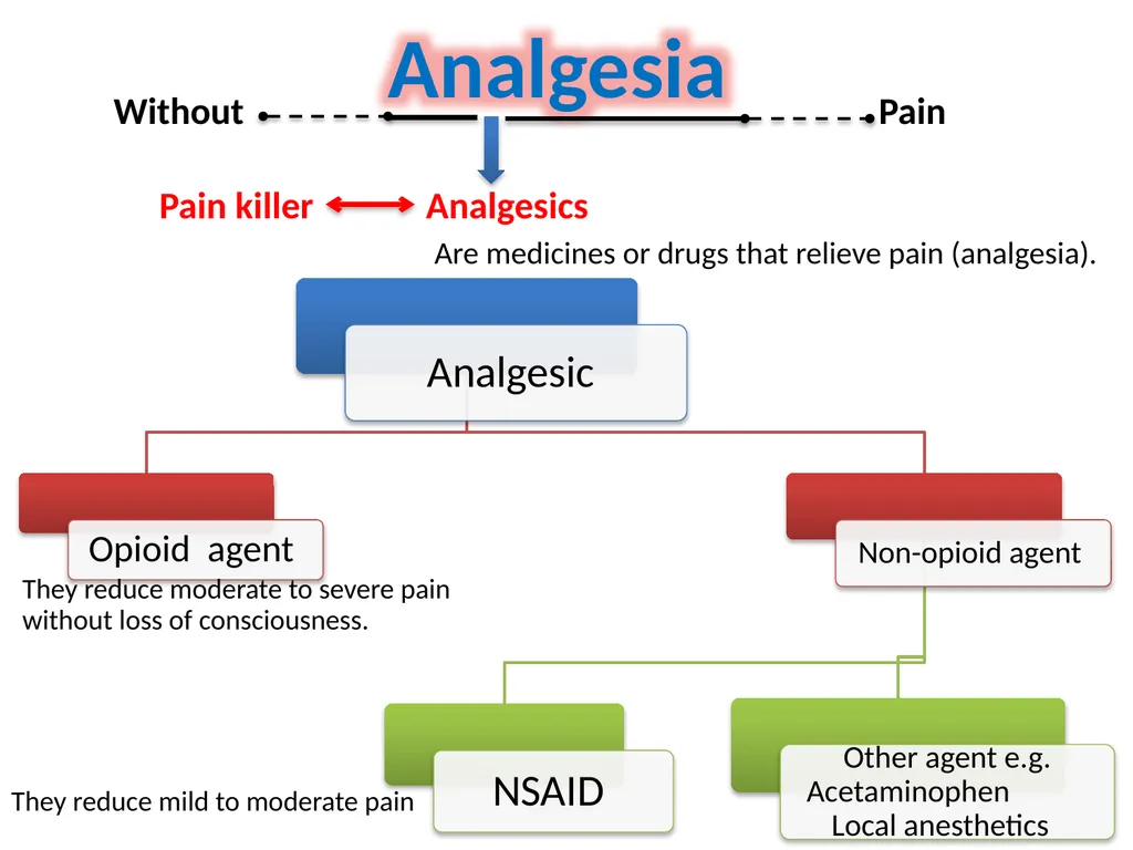 Pain Lab #3 Analgesic From PNS to CNS From CNS - slide 7 of 23