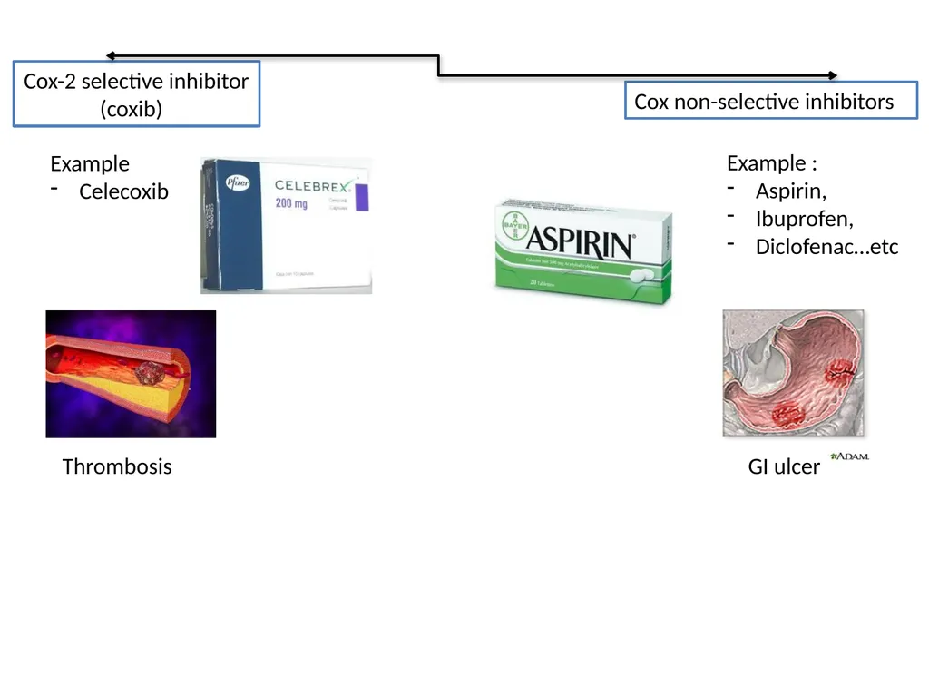 Pain Lab #3 Analgesic From PNS to CNS From CNS - slide 13 of 23