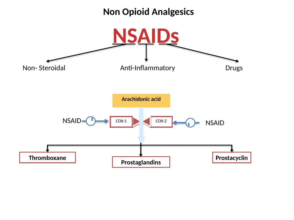 Pain Lab #3 Analgesic From PNS to CNS From CNS - slide 11 of 23
