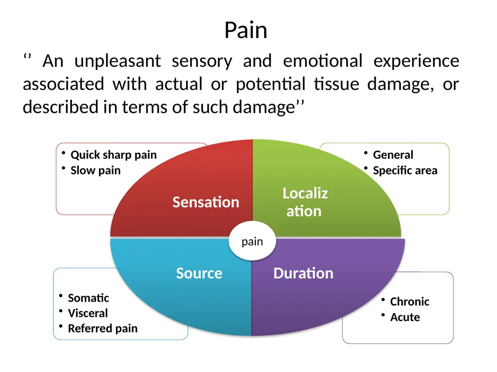Pain Lab #3 Analgesic From PNS to CNS From CNS - slide 6 of 23