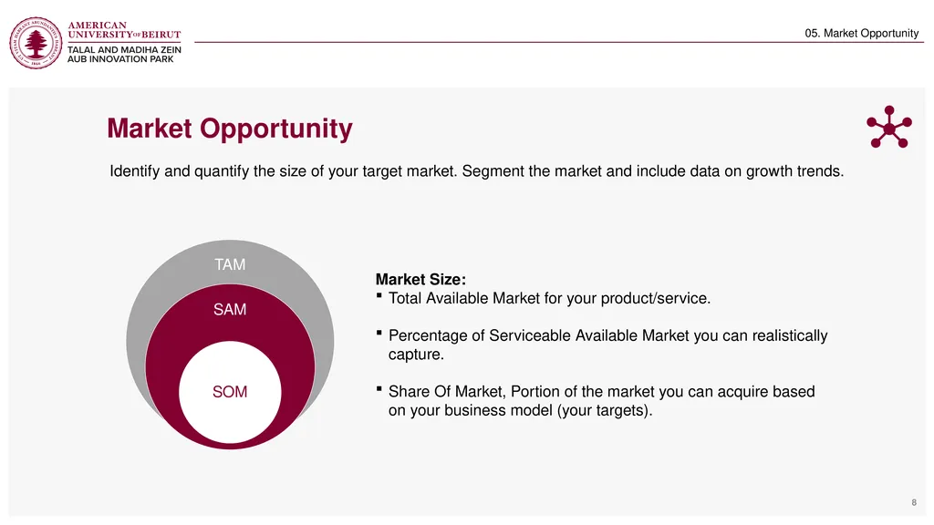 Startup: Pitch deck template Hani Haidar – Program - slide 8 of 16
