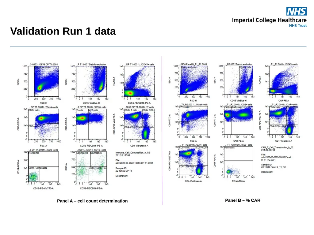 Sandra Loaiza - Stem Cell User Group Meeting 33, - slide 6 of 15