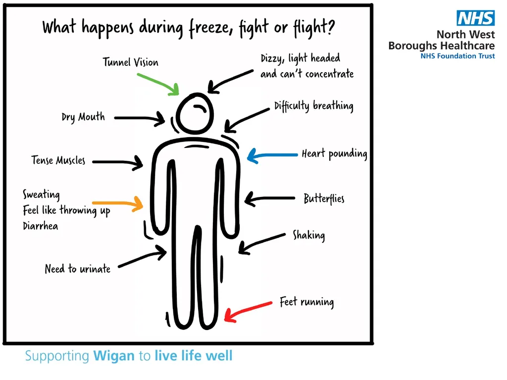 Supporting your child’s mental health and - slide 12 of 39
