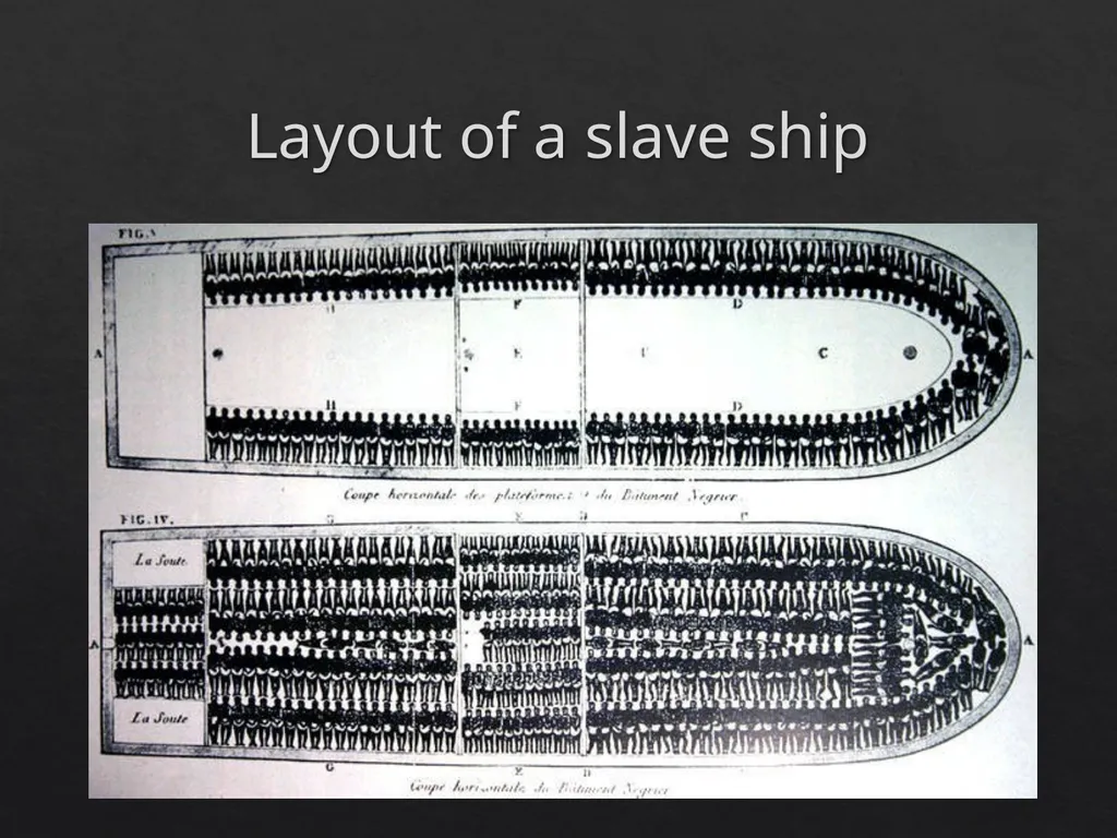 The Middle Passage Slaves would be routinely - slide 7 of 12