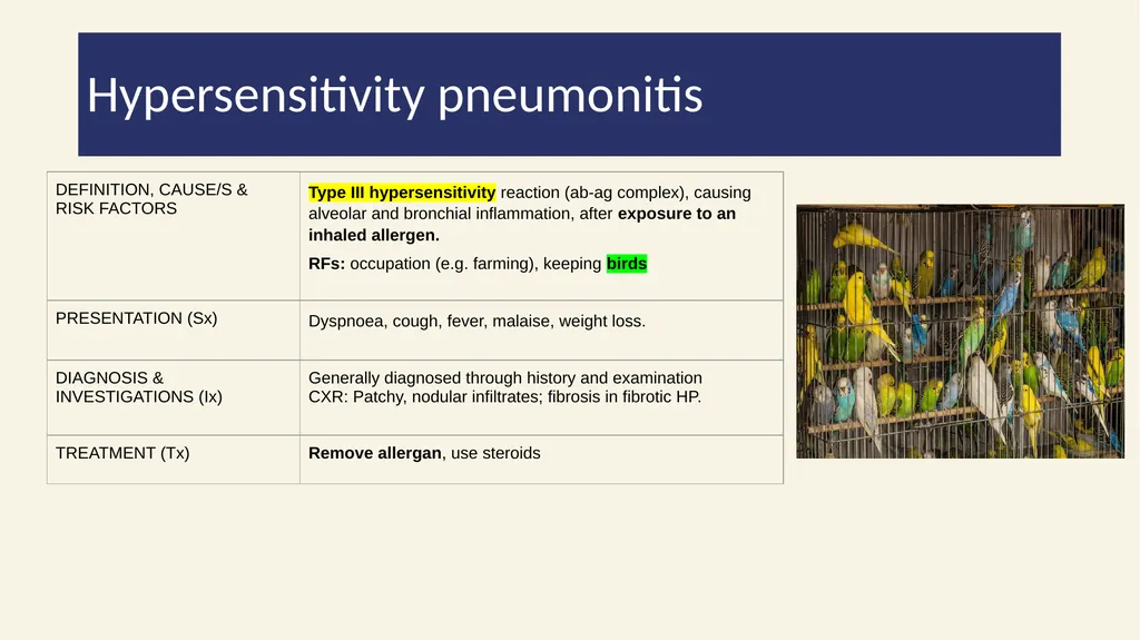 2022/2023 Phase 2a Revision Session 19/04/23 - slide 46 of 62