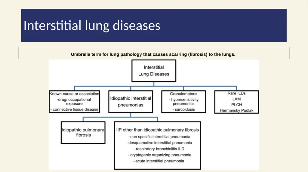 2022/2023 Phase 2a Revision Session 19/04/23 - slide 43 of 62