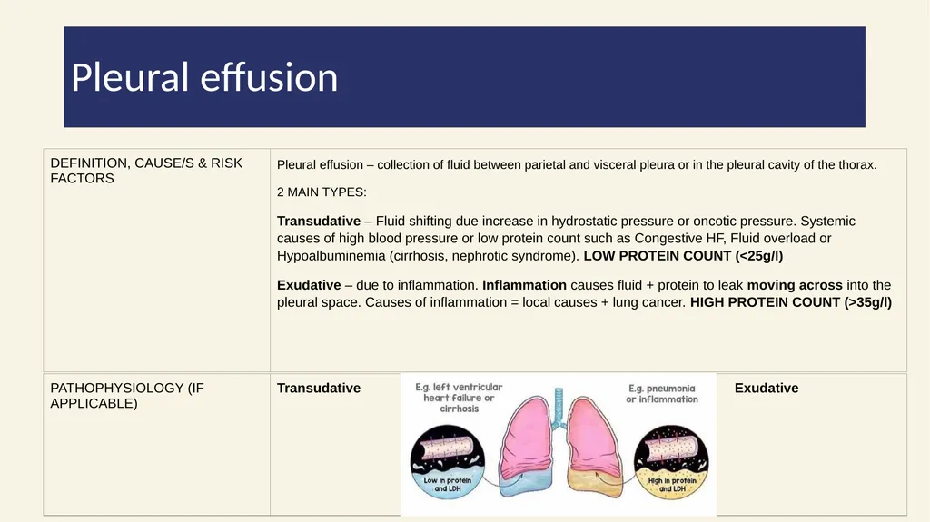 2022/2023 Phase 2a Revision Session 19/04/23 - slide 36 of 62
