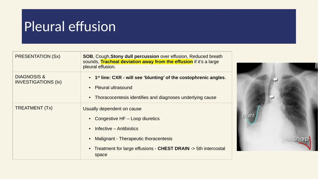 2022/2023 Phase 2a Revision Session 19/04/23 - slide 37 of 62