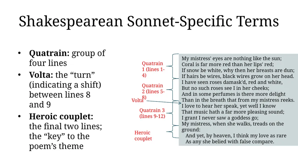 AP English Literature & Composition Rhetorical - slide 22 of 26