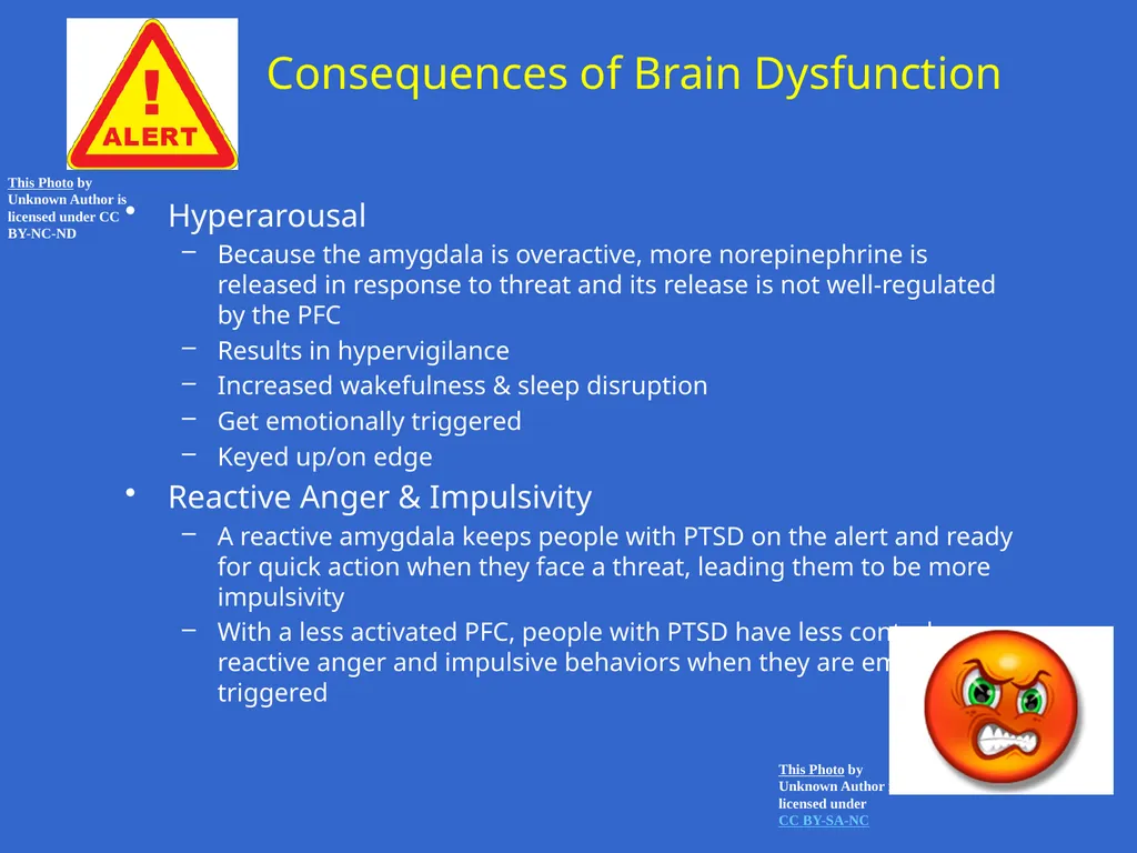 Trauma-Focused Cognitive-Behavioral Therapy - slide 14 of 195