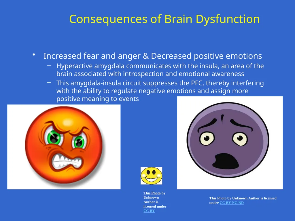 Trauma-Focused Cognitive-Behavioral Therapy - slide 15 of 195
