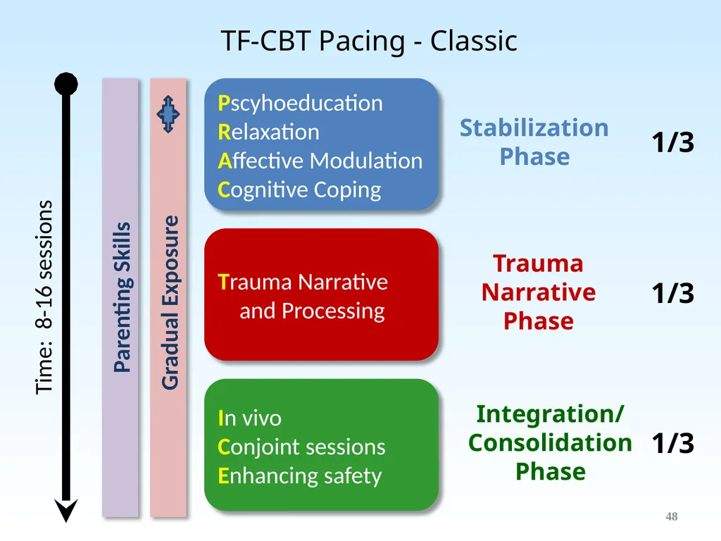 Trauma-Focused Cognitive-Behavioral Therapy - slide 48 of 195