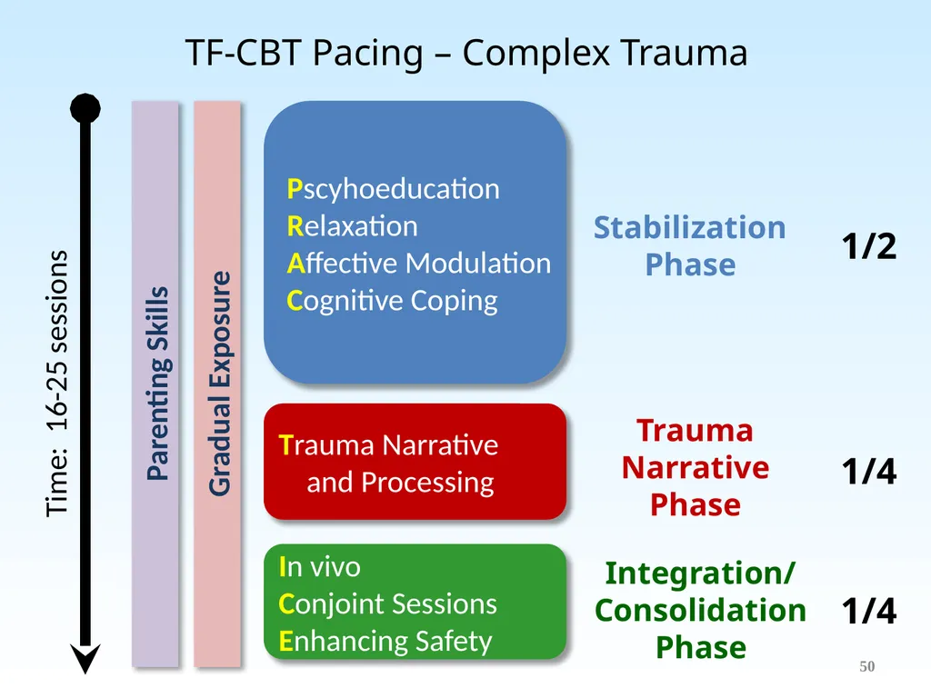 Trauma-Focused Cognitive-Behavioral Therapy - slide 50 of 195
