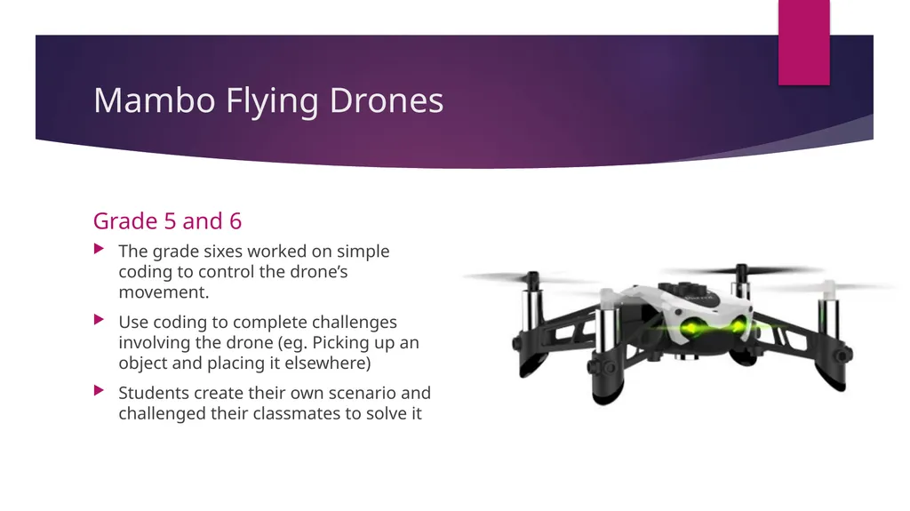 Coding and Droning Woodland elementary Teachers in - slide 20 of 29